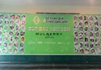 Triển lãm Búp dâu Mulberry Lane