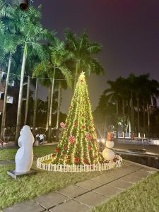 Chung cư Mulberry Lane - Dệt nên phong cách sống 5