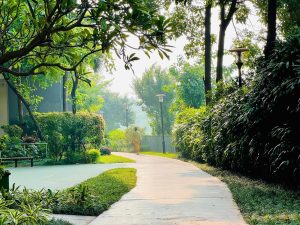 Chung cư Mulberry Lane - Dệt nên phong cách sống 8