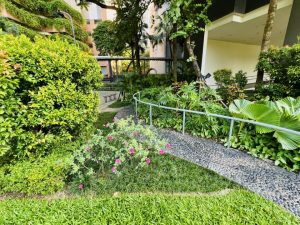 Chung cư Mulberry Lane - Dệt nên phong cách sống 7